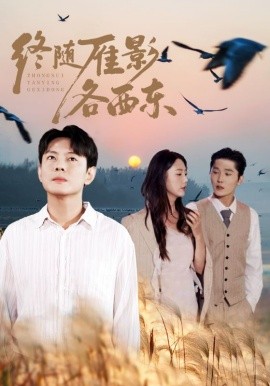 《终随雁影各西东》完整版在线观看