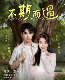 《不期而遇》完整版在线观看