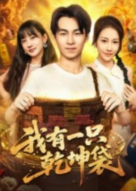 《我有一只乾坤袋》完整版在线观看