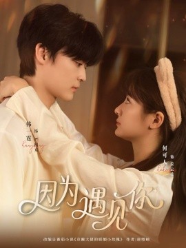 《因为遇见你短剧》完整版在线观看