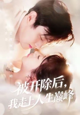 《被开除后我走上人生巅峰》完整版在线观看