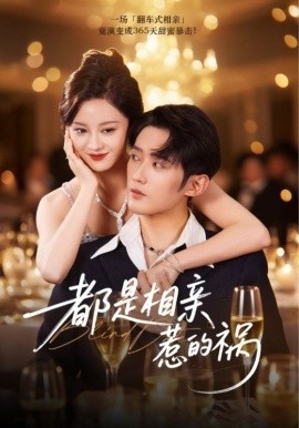 《都是相亲惹的祸》完整版在线观看