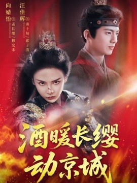 《酒暖长缨动京城》完整版在线观看