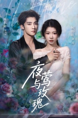 《夜莺与玫瑰短剧》完整版在线观看