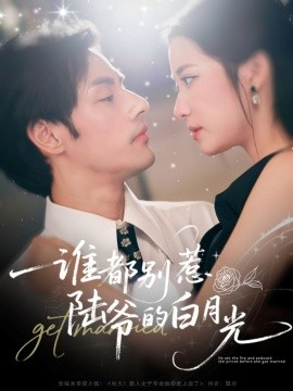《谁都别惹陆爷的白月光》完整版在线观看