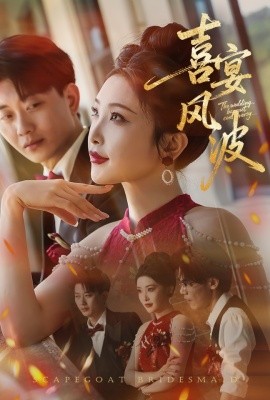《喜宴风波 替罪伴娘》完整版在线观看