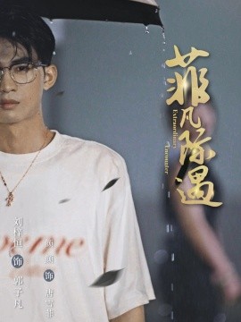 《菲凡际遇》完整版在线观看