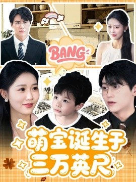 《萌宝诞生于三万英尺》完整版在线观看