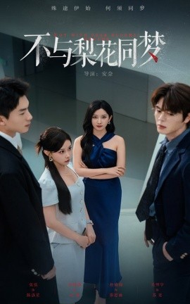 《不与梨花同梦》完整版在线观看