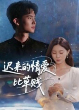 《迟来的情爱比草贱》完整版在线观看