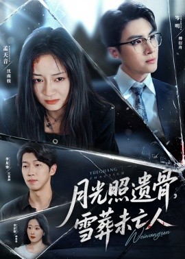 《月光照遗骨，雪葬未亡人》完整版在线观看