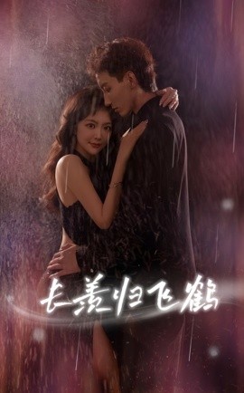 《长羡归飞鹤》完整版在线观看