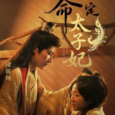 《命定太子妃》完整版在线观看