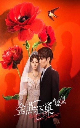 《金燕还巢当感恩》完整版在线观看