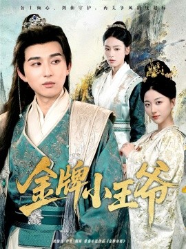 《金牌小王爷》完整版在线观看