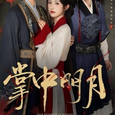 《掌中明月》完整版在线观看