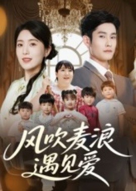 《风吹麦浪遇见爱》完整版在线观看