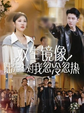 《双生镜像陆先生对我忽冷忽热》完整版在线观看