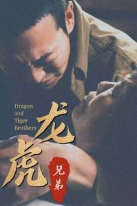 《龙虎兄弟国语》完整版在线观看