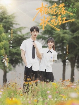 《栀子花落状元红》完整版在线观看