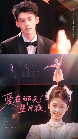 《爱在那天星月夜》完整版在线观看