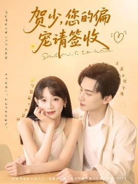 《贺少您的偏宠请签收》完整版在线观看