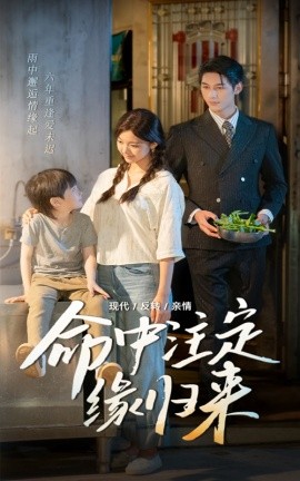 《命中注定缘归来》完整版在线观看