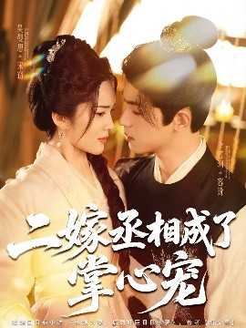 《二嫁丞相成了掌心宠》完整版在线观看