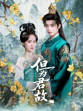 《但为君故》完整版在线观看