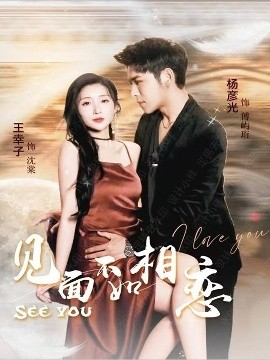 《见面不如相恋》完整版在线观看