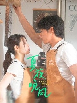 《夏夜晚风》完整版在线观看