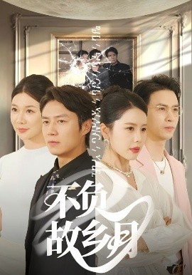 《不负故乡月》完整版在线观看