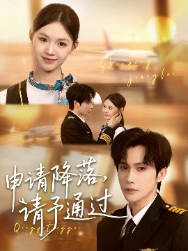 《申请降落请予通过》完整版在线观看