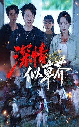 《深情似草芥》完整版在线观看