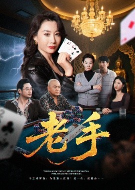 《老手》完整版在线观看
