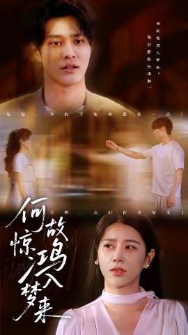 《何故惊鸿入梦来》完整版在线观看