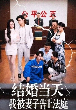 《结婚当天我被妻子告上法庭》完整版在线观看
