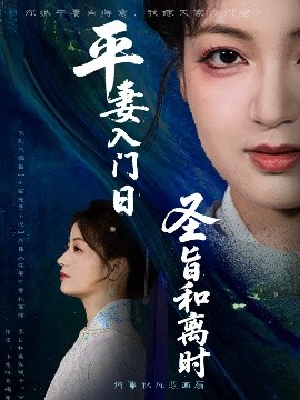 《平妻入门日圣旨和离时》完整版在线观看