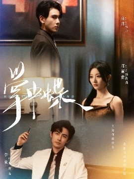 《掌中蝶》完整版在线观看