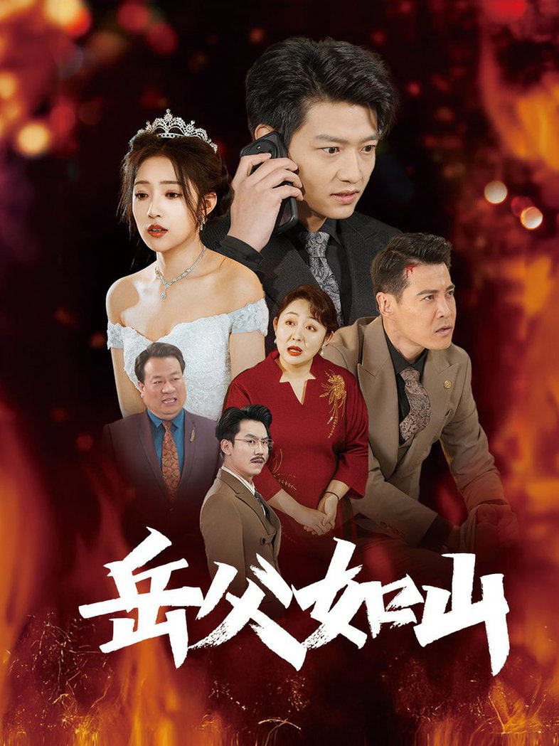 《岳父如山 岳父的礼物》完整版在线观看