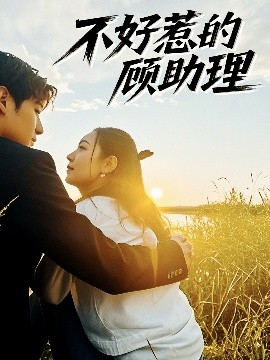 《不好惹的顾助理》完整版在线观看