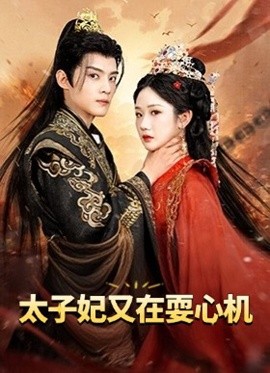 《太子妃又在耍心机 人家才不是坏女人》完整版在线观看