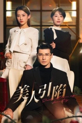 《美人引陷》完整版在线观看